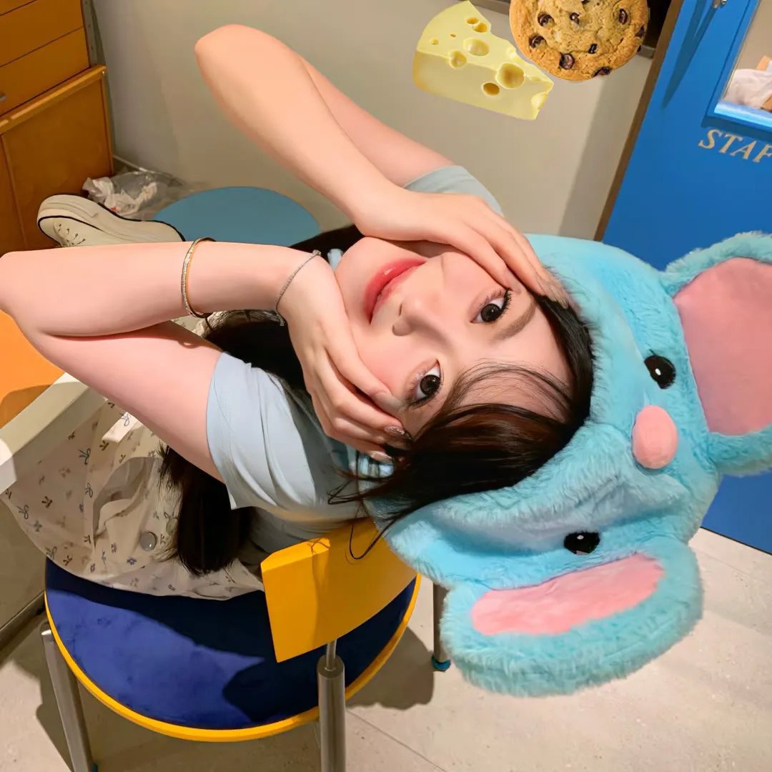 战争姐妹